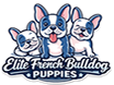 frenchie dream