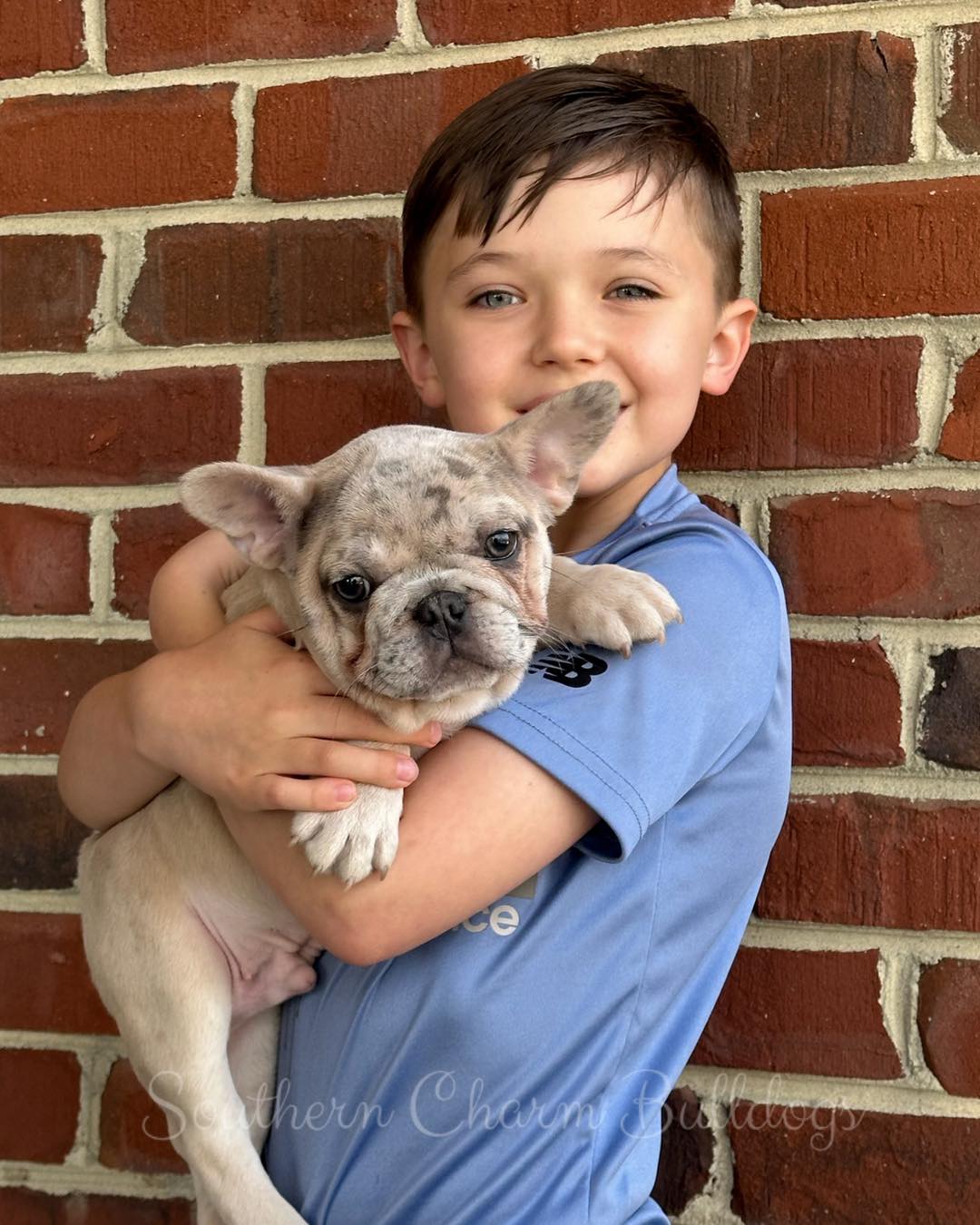 southern charm bulldogs 1743537104 3601372708800016919 6048945794